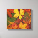Suche nach fall leinwandbilder Blatt