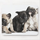 Suche nach sitzender hund mousepads Haustier