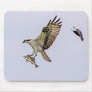 Suche nach amsel mousepads Natur