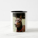 Suche nach roter dobermann tassen Welpe
