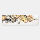 Suche nach muscheln autoaufkleber Ozean