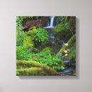 Suche nach moos leinwandbilder Wasserfall