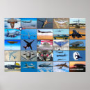 Suche nach strategisch poster Bomber