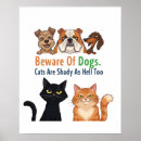 Suche nach katzen in den hüten poster Für alle