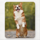 Suche nach glücklicher welpe mousepads Hund