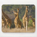 Suche nach herde mousepads Braun