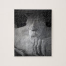 Suche nach seattle puzzle Pazifischer nordwesten