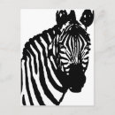 Suche nach und schwarzer zebra postkarten Spaß