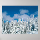 Suche nach winterbaum poster Schnee