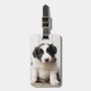 Suche nach border collie gepäckanhänger Haustier