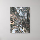 Suche nach wurzeln leinwandbilder Baum