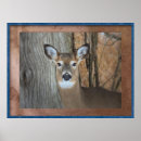 Suche nach weißer schwanz poster Wald