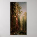 Suche nach mariposa poster Yosemite