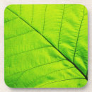 Suche nach leaf untersetzer Blatt