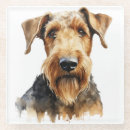 Suche nach airedale untersetzer Terrier