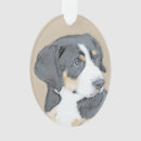Suche nach berner ornamente Welpe