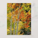 Suche nach aspen postkarten Freund