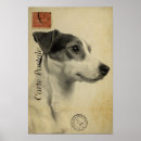 Suche nach jack russell poster Kaninchen