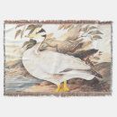 Suche nach gans decken Vogel