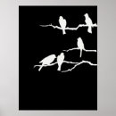 Suche nach bird silhouette poster Vögel