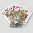 Suche nach wildlife spielkarten Safari