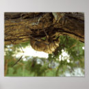 Suche nach entomologe poster Entomologie