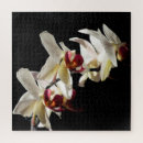 Suche nach orchideen puzzle Jede person