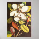 Suche nach magnolienblüte poster Blüten
