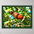 Suche nach acorn poster Baum