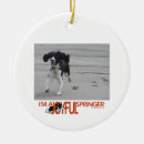 Suche nach englischer springer spaniel ornamente Hund