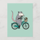 Suche nach fahrer postkarten Fahrrad