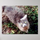 Suche nach hallo poster Jede person