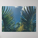 Suche nach palmblätter poster Natur