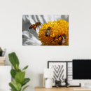 Suche nach bestäubung poster Pollen