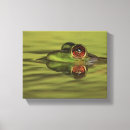 Suche nach grüner frosch leinwandbilder Frösche