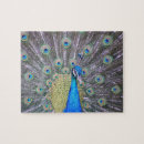 Suche nach peacock puzzle Vogel
