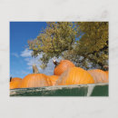 Suche nach kürbise postkarten Oktober