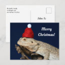 Suche nach australien weihnachten postkarten Eidechse