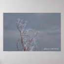 Suche nach busch poster Winter