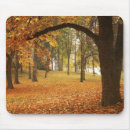 Suche nach orange herbst mousepads Baum