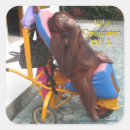 Suche nach behinderten aufkleber Rollstuhl