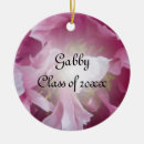 Suche nach pfingstrose ornamente Rosa