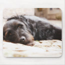 Suche nach yard mousepads Schwarzes