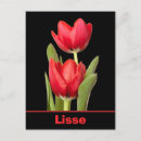 Suche nach lisse postkarten Tulpe
