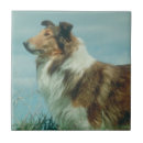 Suche nach rau fliesen Collie