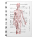 Suche nach anatomie kleine notizbücher Für alle