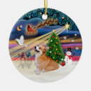 Suche nach pembroke welsh corgi ornamente Haustiere