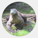 Suche nach komodo aufkleber Reptil