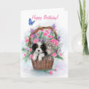 Suche nach alles gute zum für hunde geburtstag karten Katze