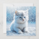 Suche nach die kleine weiße katze karten Kätzchen